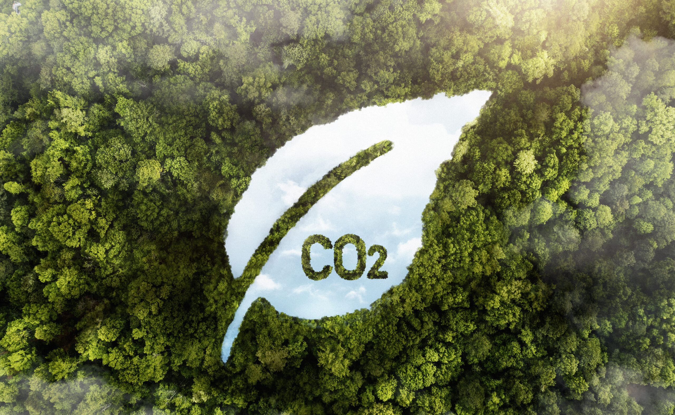 O mercado de crédito de carbono para as instituições financeiras