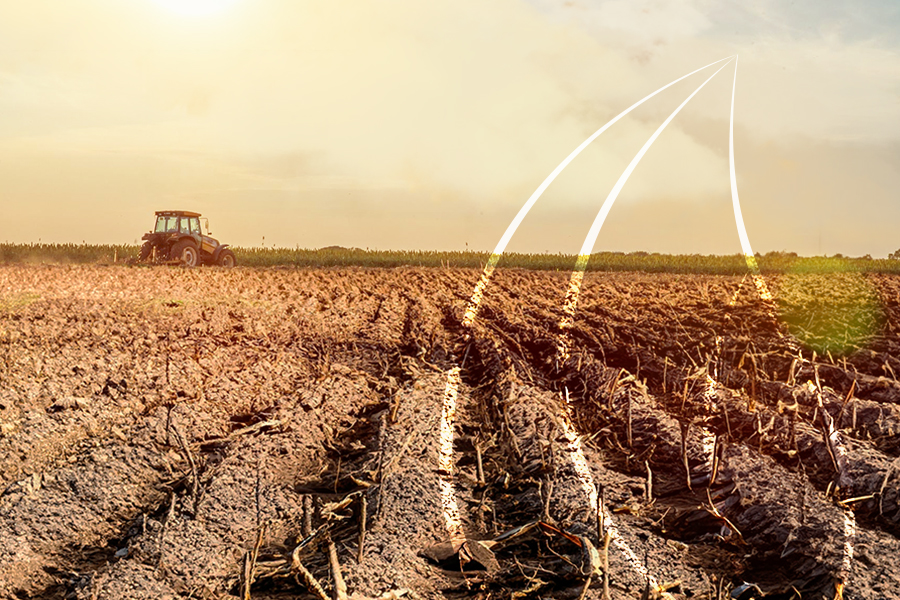 Agronegócio no Brasil: como as condições climáticas podem afetar os cultivos?