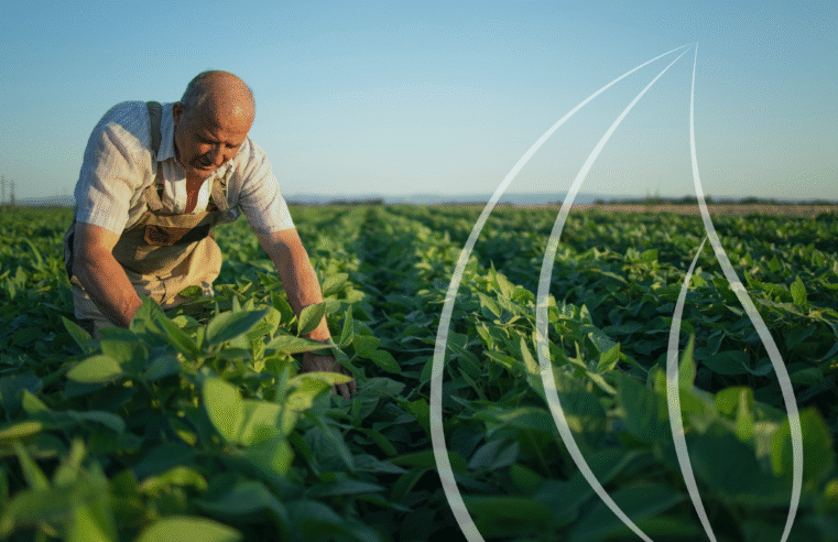 Diagnóstico vs. Monitoramento Socioambiental: como o Grain Station eleva sua gestão no agro 