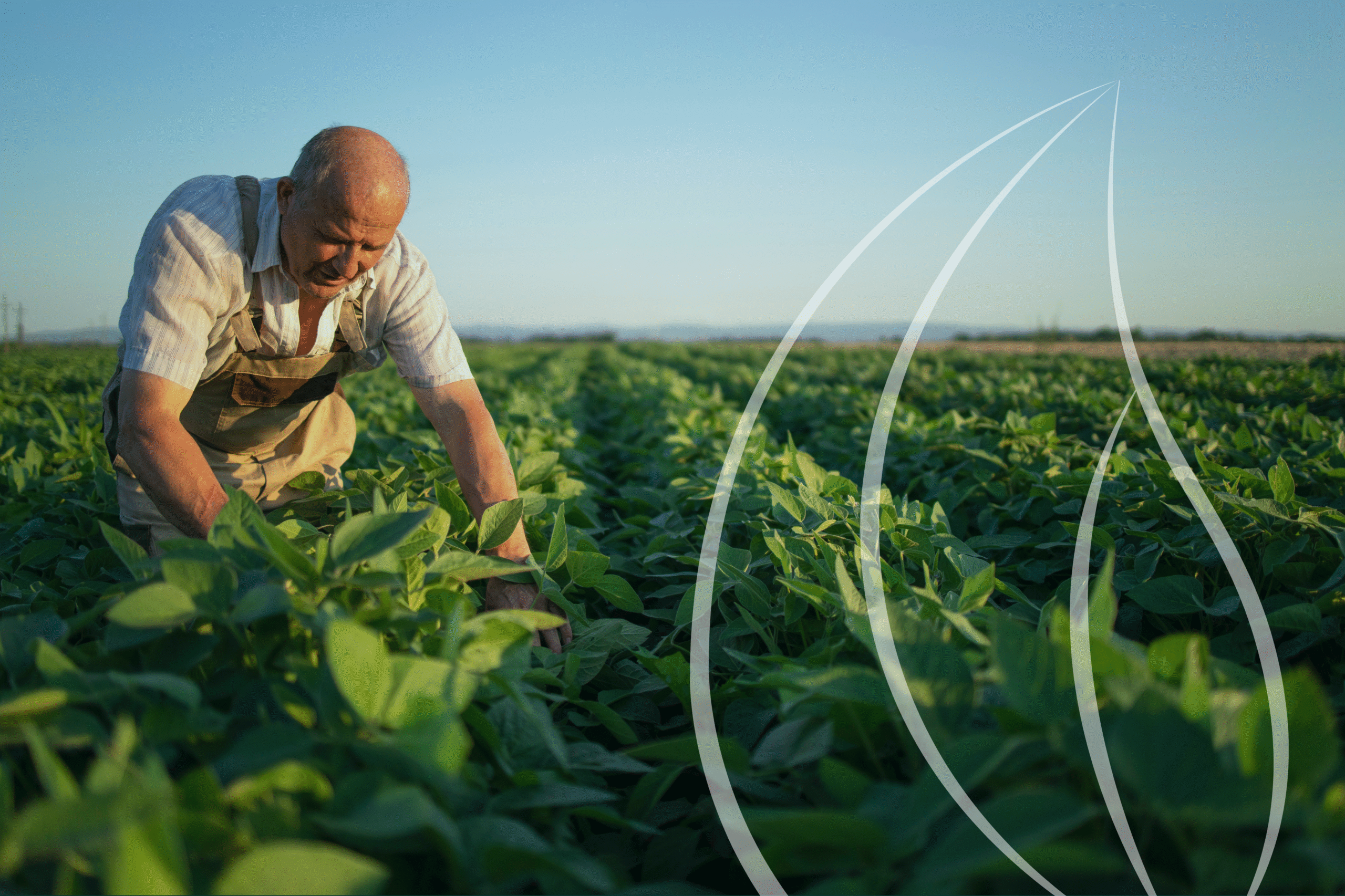 Diagnóstico vs. Monitoramento Socioambiental: como o Grain Station eleva sua gestão no agro