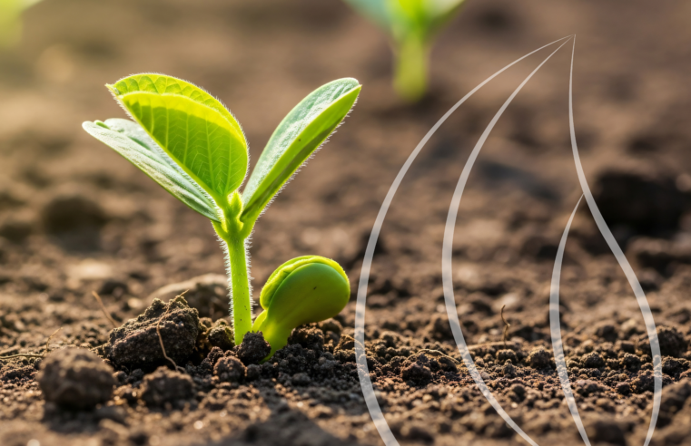 Retrospectiva 2025 no agronegócio no Brasil e no mundo: o que os números revelam