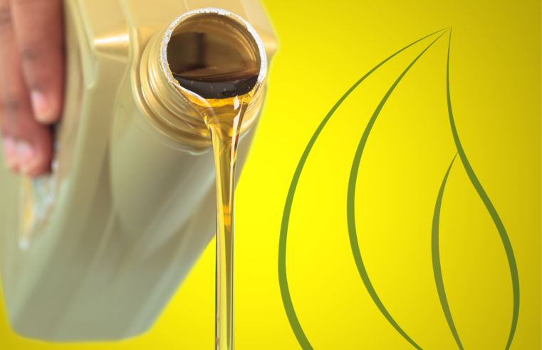 Biocombustíveis e a oportunidade para o agronegócio: do volume ao valor, com rastreabilidade