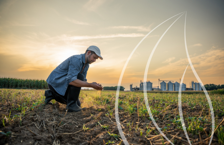 Agricultura regenerativa: o futuro do agro ou a próxima exigência de mercado