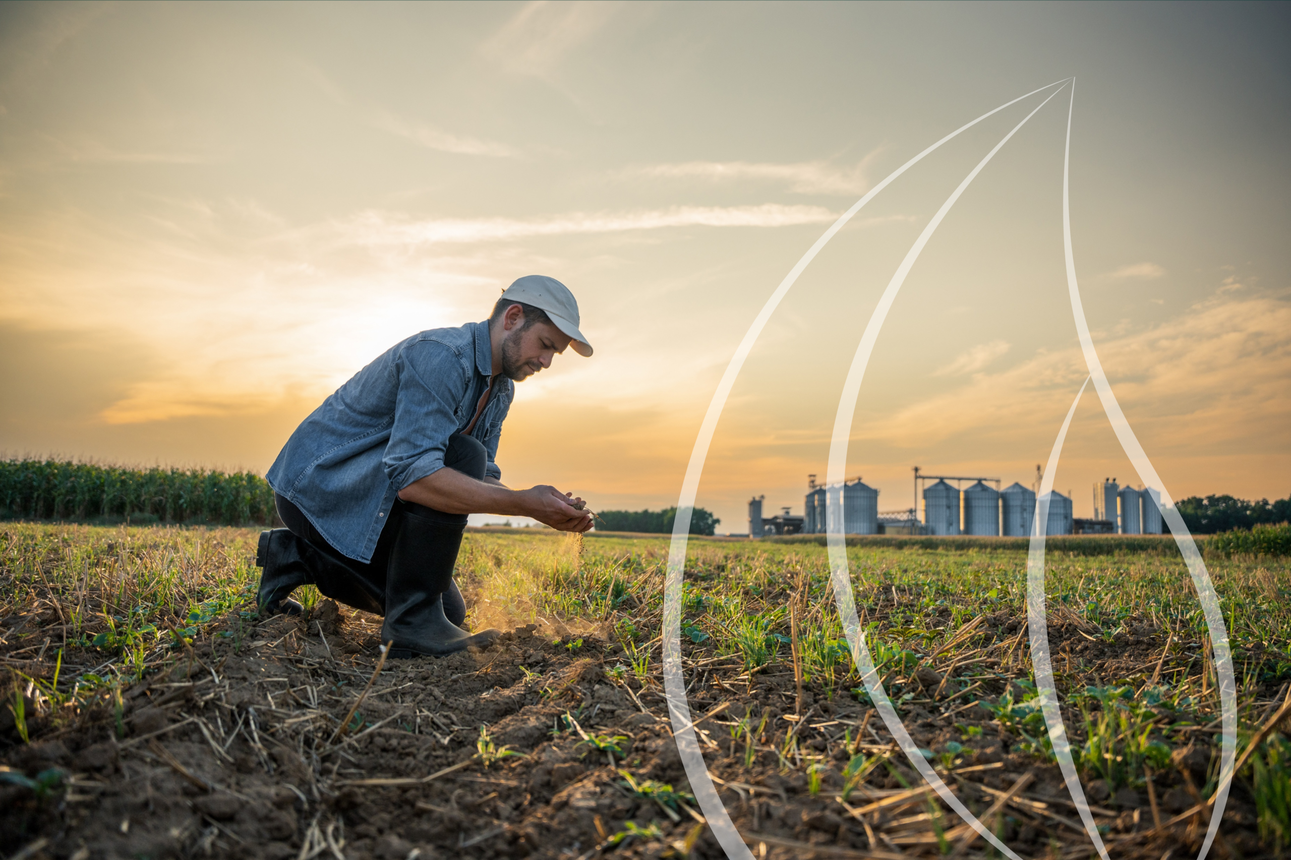 Agricultura regenerativa: o futuro do agro ou a próxima exigência de mercado