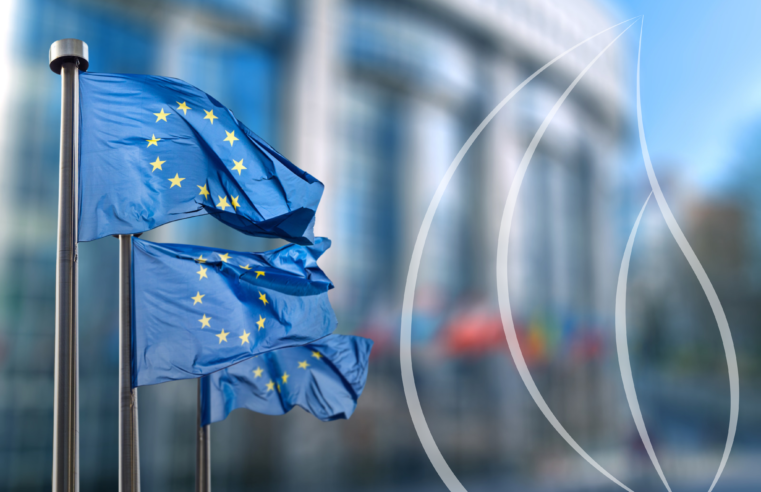 Sem rastreabilidade, sem União Europeia: o que muda com o EUDR a partir de 30 de dezembro de 2026