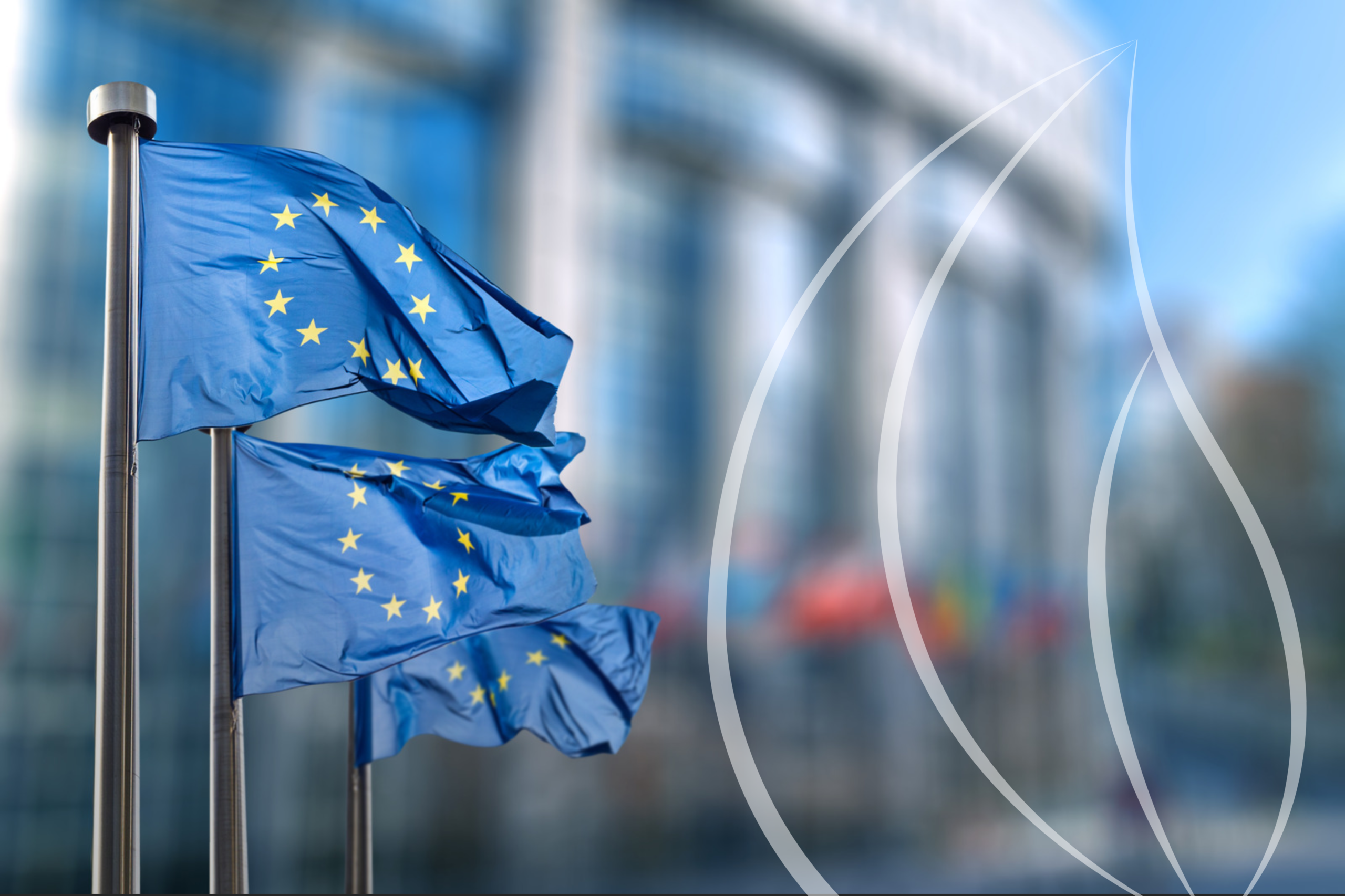 Sem rastreabilidade, sem União Europeia: o que muda com o EUDR a partir de 30 de dezembro de 2026